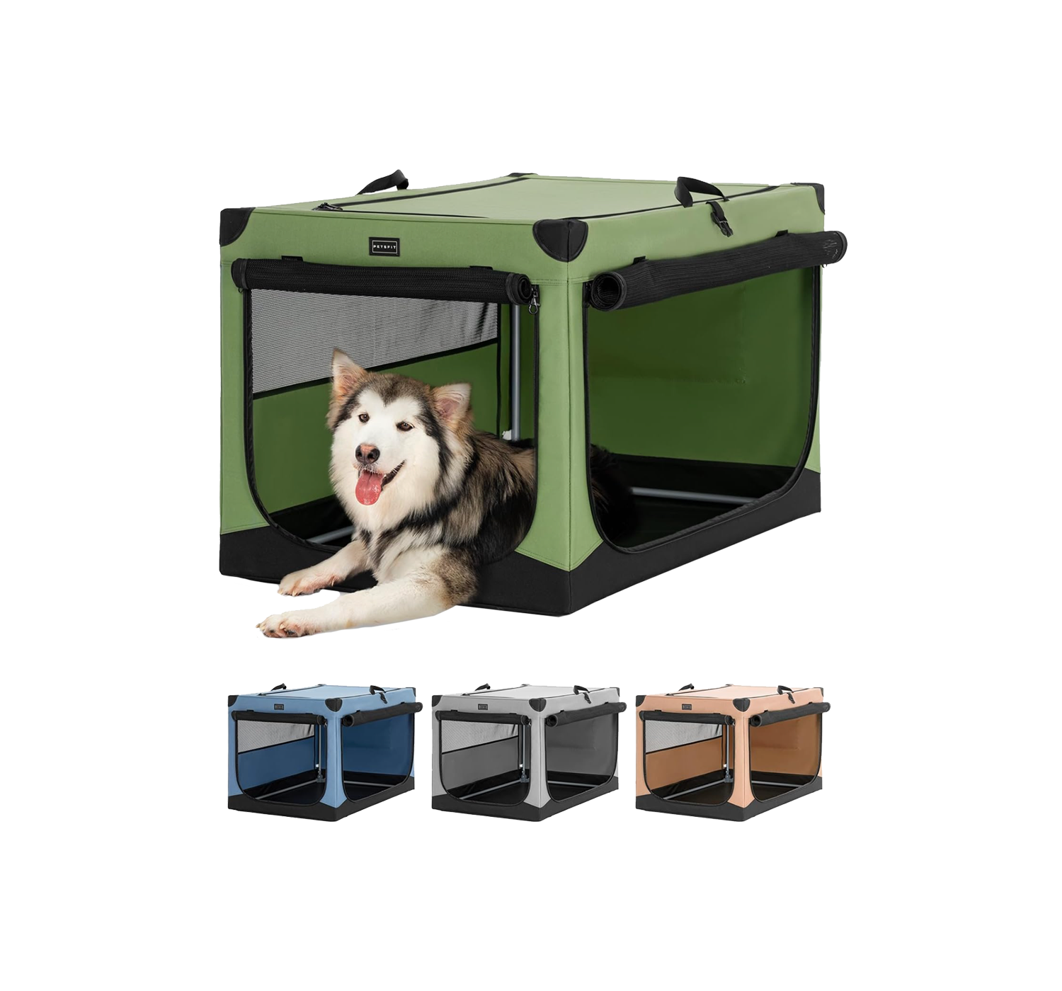 Hund liegt in einer grünen Hundebox